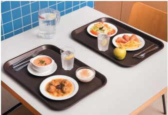 BANDEJA PLANA DE PLÁSTICO COMEDOR 530X370mm vista 3